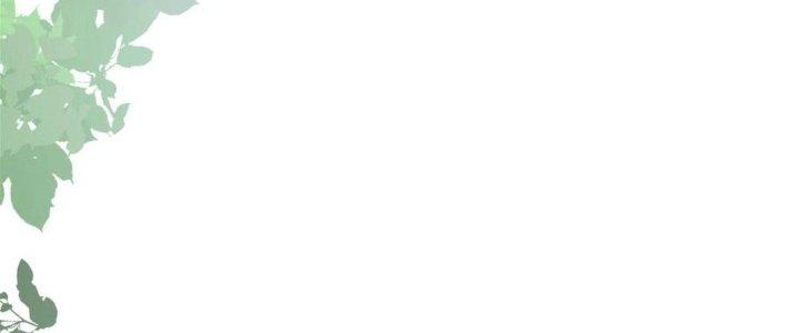 Bỉ Nhân Độc Tìm Đường Chết Chapter 1 - Trang 2