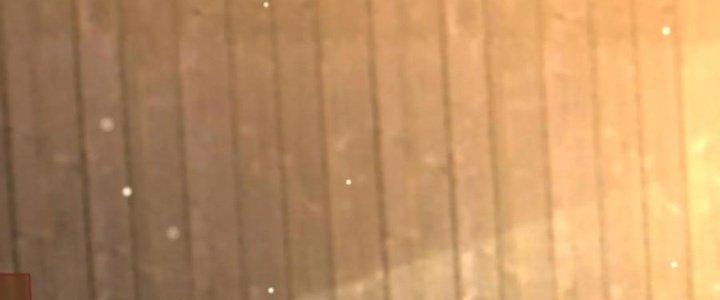 Bỉ Nhân Độc Tìm Đường Chết Chapter 2 - Trang 2