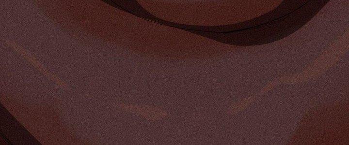 Thức Tỉnh Thành Sứa Nhưng Ta Vẫn Thật Siêu Thần Chapter 37 - Trang 2