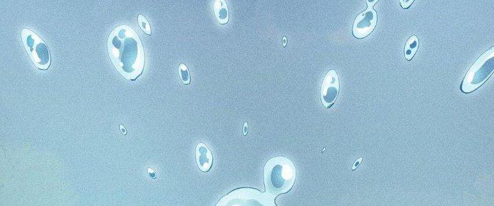 Thức Tỉnh Thành Sứa Nhưng Ta Vẫn Thật Siêu Thần Chapter 45 - Trang 2