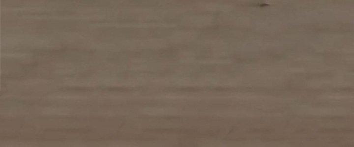 Người Chơi Hung Mãnh Chapter 20 - Trang 2