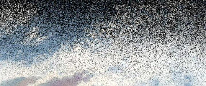 Người Chơi Hung Mãnh Chapter 41 - Trang 2