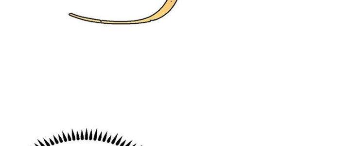 Người Chơi Hung Mãnh Chapter 42 - Trang 2