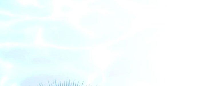 Ta Bất Tử, Coi Tự Bạo Là Công Kích Bình Thường Chapter 8 - Trang 3