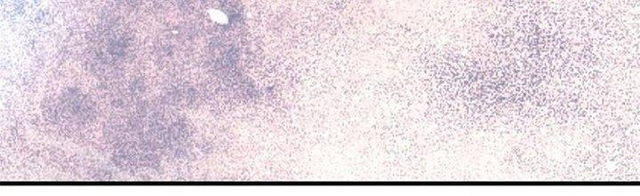 Người Chơi Hung Mãnh Chapter 58 - Trang 2