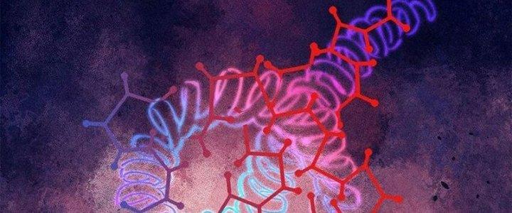 Người Chơi Hung Mãnh Chapter 73 - Trang 2