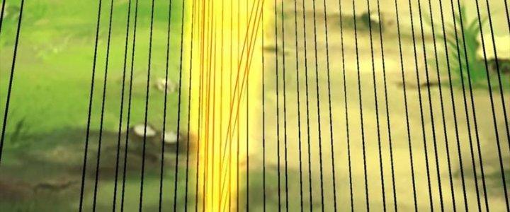 Bỉ Nhân Độc Tìm Đường Chết Chapter 15 - Trang 2