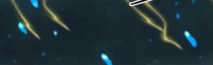 Tinh Môn Chapter 53 - Trang 2