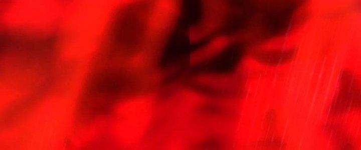 Tinh Môn Chapter 53 - Trang 2