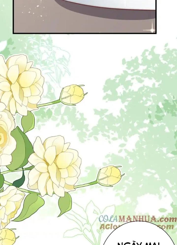 Tiểu Manh Bảo Bốn Tuổi Theo Sư Phụ Xuống Núi Chapter 343 - Trang 3