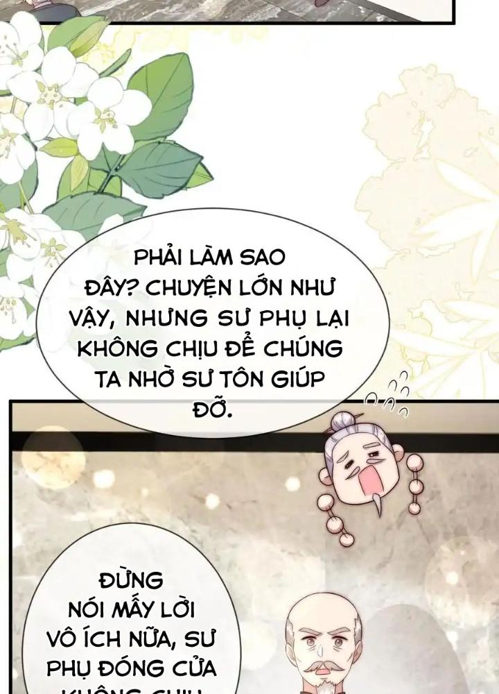 Tiểu Manh Bảo Bốn Tuổi Theo Sư Phụ Xuống Núi Chapter 347 - Trang 3