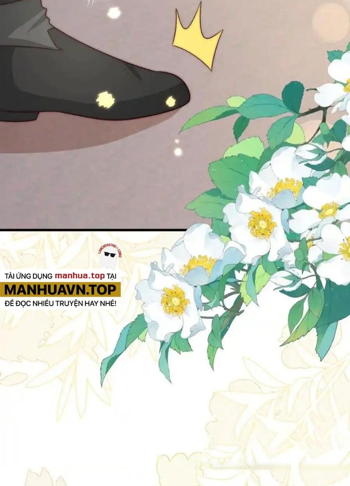 Tiểu Manh Bảo Bốn Tuổi Theo Sư Phụ Xuống Núi Chapter 347 - Trang 3