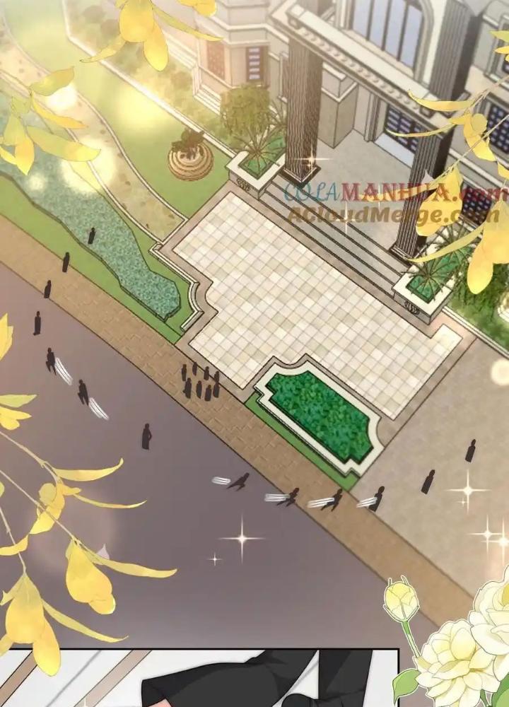 Tiểu Manh Bảo Bốn Tuổi Theo Sư Phụ Xuống Núi Chapter 348 - Trang 3