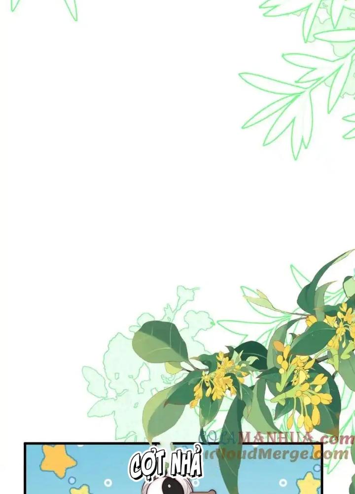 Tiểu Manh Bảo Bốn Tuổi Theo Sư Phụ Xuống Núi Chapter 349 - Trang 3