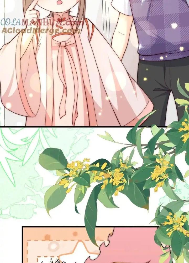 Tiểu Manh Bảo Bốn Tuổi Theo Sư Phụ Xuống Núi Chapter 349 - Trang 3