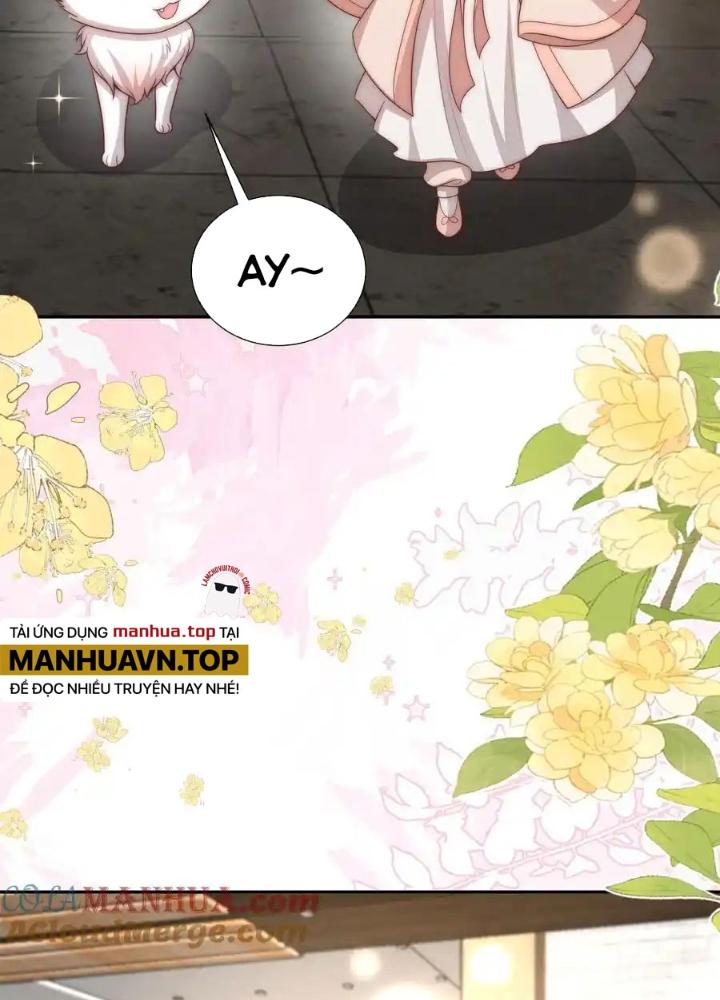 Tiểu Manh Bảo Bốn Tuổi Theo Sư Phụ Xuống Núi Chapter 352 - Trang 3