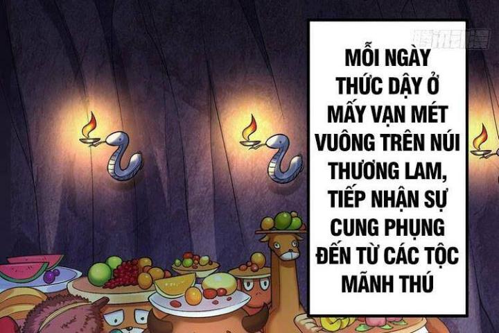 Ta Nhặt Được Thuộc Tính Tại Tu Chân Giới Chapter 178.1 - Trang 2