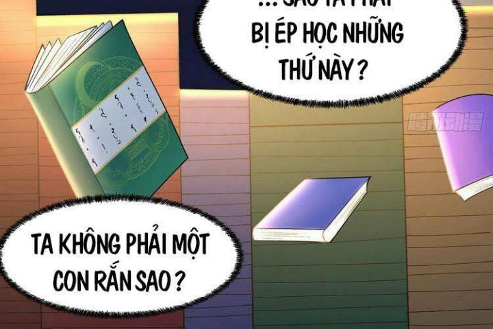 Ta Nhặt Được Thuộc Tính Tại Tu Chân Giới Chapter 178.1 - Trang 2