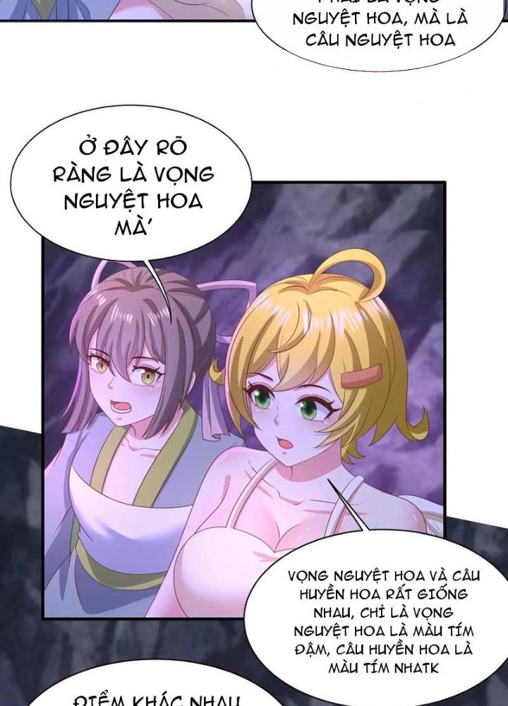 Bắt Đầu Đánh Dấu Bảy Vị Sư Tỷ Giúp Ta Bay Chapter 30 - Trang 2