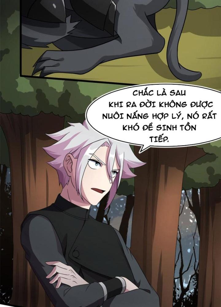 Sủng Mị Chapter 66 - Next Chapter 67