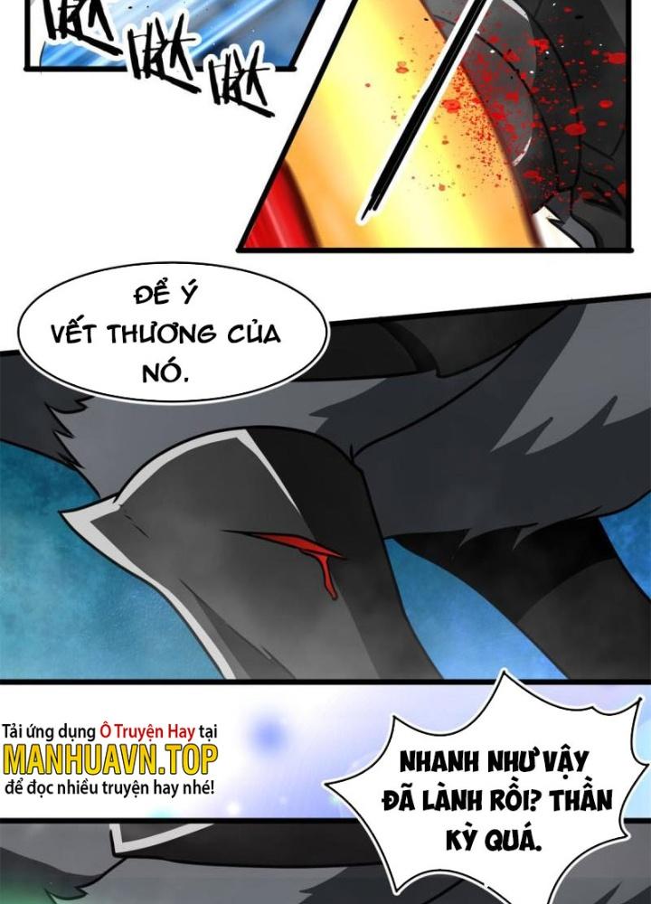 Sủng Mị Chapter 67 - Next Chapter 68