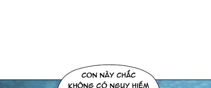 Dù Kiếm Được Nghề Nghiệp Siêu Hiếm Nhưng Lại Bị Toàn Server Đuổi Giết?! Chapter 19 - Trang 3