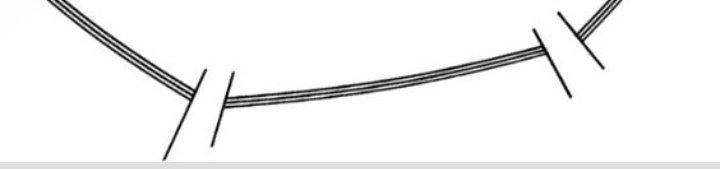 Dungeon: Bắt Đầu Liền Nô Dịch Người Chơi Địa Cầu Chapter 2 - Trang 2