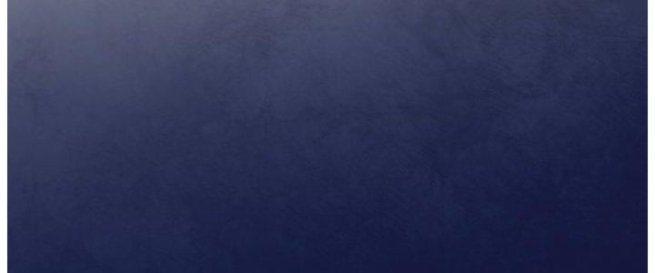 Dungeon: Bắt Đầu Liền Nô Dịch Người Chơi Địa Cầu Chapter 12 - Trang 2