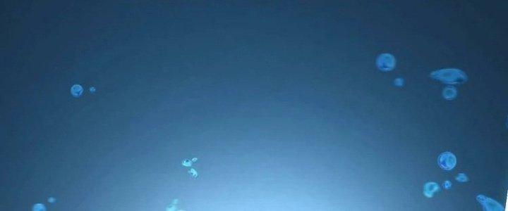 Ta Dựa Vào Ăn Uống Để Giải Cứu Thế Giới Chapter 1 - Trang 2