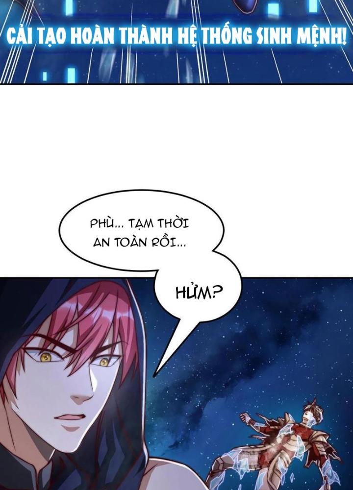 Bỉ Nhân Độc Tìm Đường Chết Chapter 204 - Trang 2