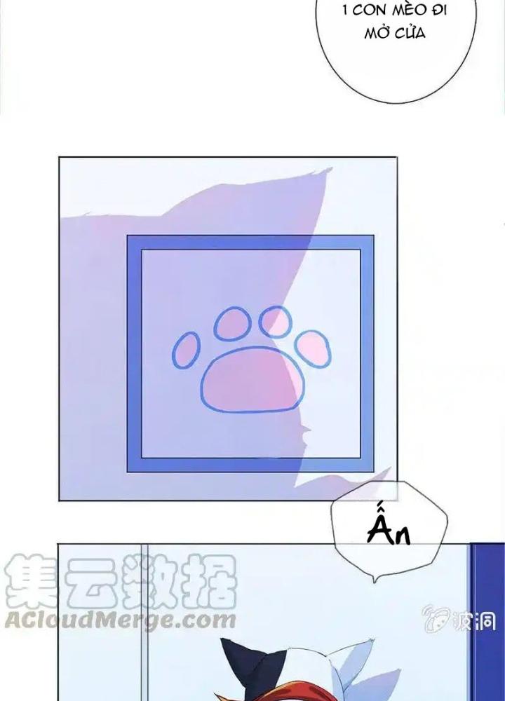 Bạn Gái Sạc Pin Của Tôi Chapter 6 - Trang 2