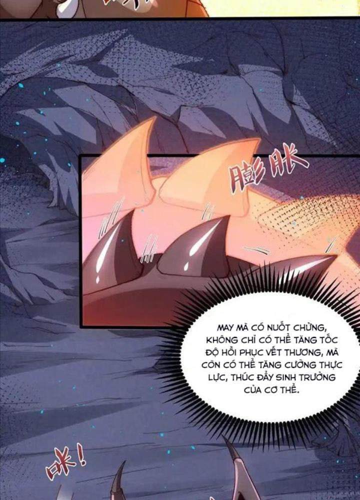 Ác Long Xuyên Không: Khởi Đầu Quốc Vương Hiến Tế Công Chúa Chapter 25 - Trang 2