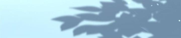 Ở Bên Cạnh Nữ Ma Đầu Chapter 1 - Trang 2