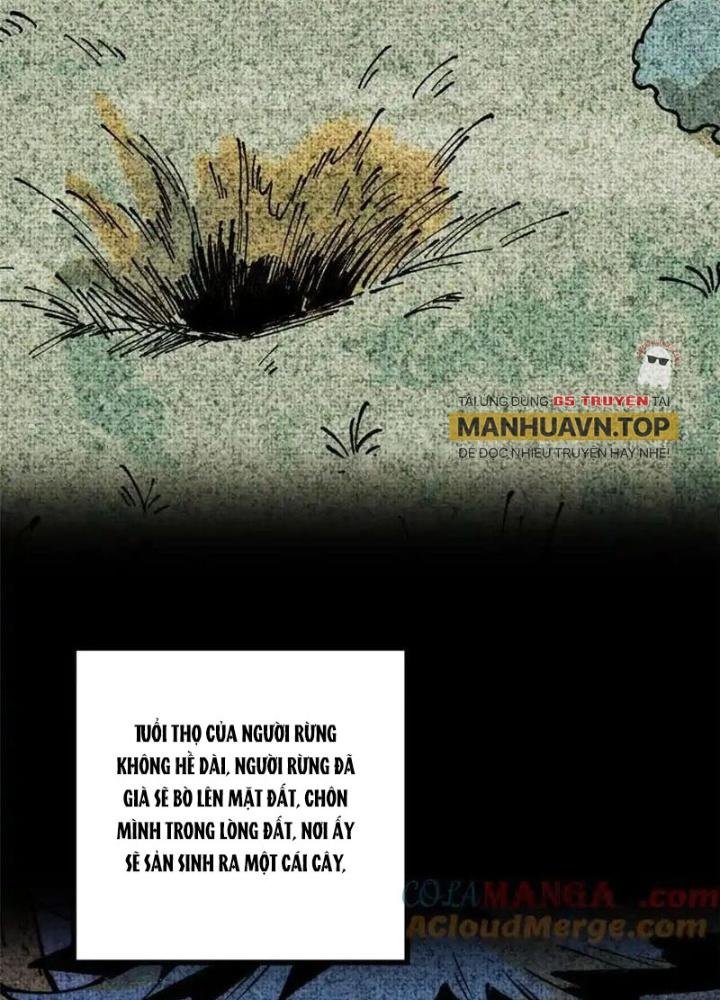 Người Chơi Hung Mãnh Chapter 124 - Trang 2