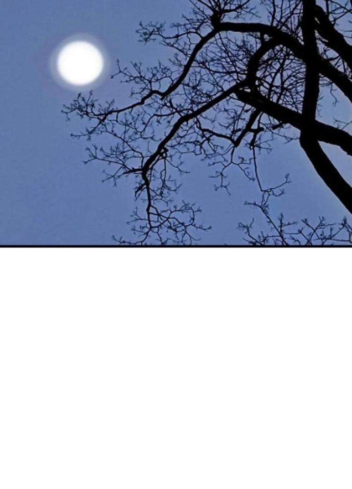 Bắt Đầu Đánh Dấu Bảy Vị Sư Tỷ Giúp Ta Bay Chapter 40 - Trang 2