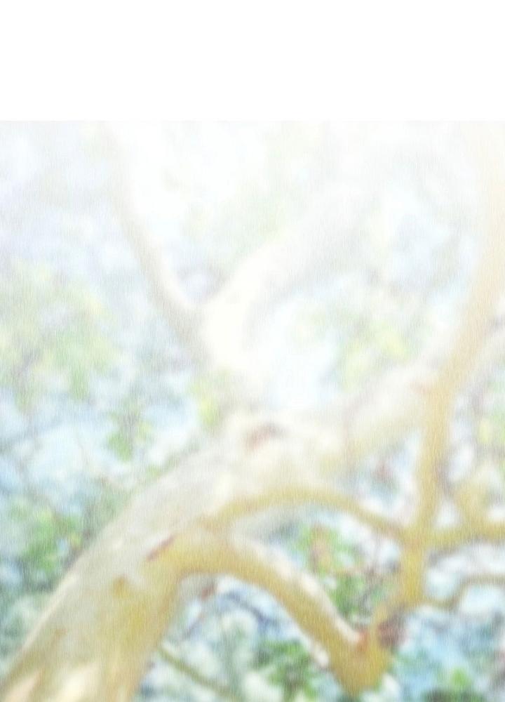 Cương Mãnh Đại Pháp Sư Chapter 1 - Trang 2