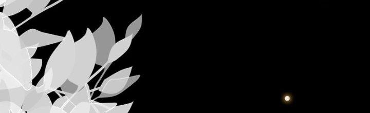 Trên Người Ta Có Một Cái Cây Thần Thoại Chapter 10 - Trang 3