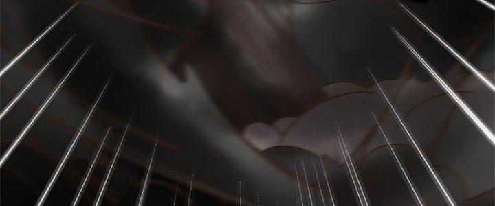 Trên Người Ta Có Một Cái Cây Thần Thoại Chapter 12 - Trang 3