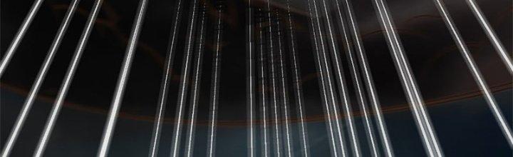 Trên Người Ta Có Một Cái Cây Thần Thoại Chapter 12 - Trang 3