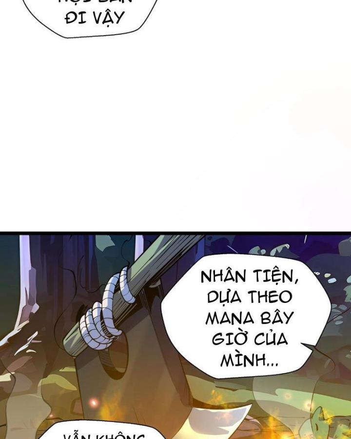 Xin Lỗi, Kỹ Năng Tự Động Của Ta Max Cấp Rồi! Chapter 3 - Trang 2