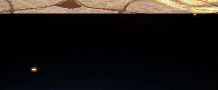 Trên Người Ta Có Một Cái Cây Thần Thoại Chapter 25 - Trang 2