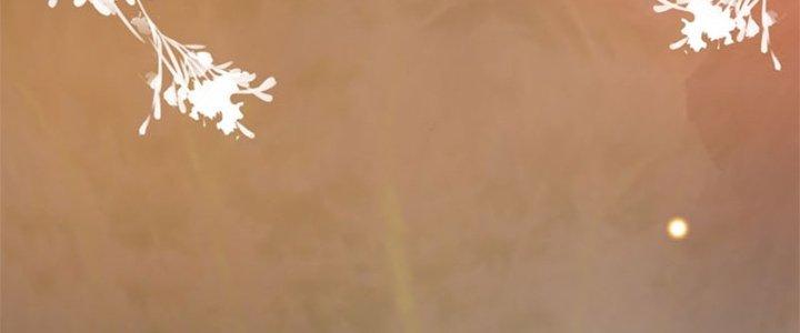 Trên Người Ta Có Một Cái Cây Thần Thoại Chapter 29 - Trang 3