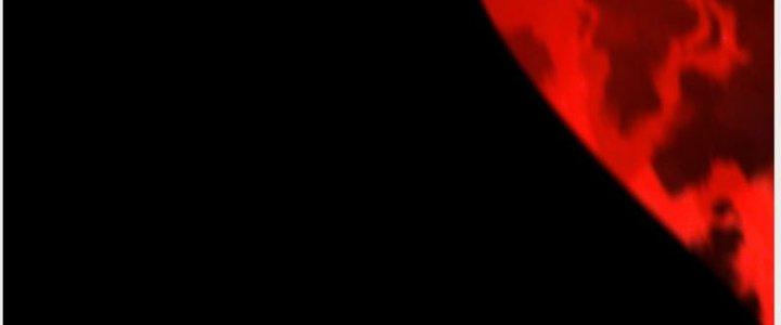 Trên Người Ta Có Một Cái Cây Thần Thoại Chapter 32 - Trang 3