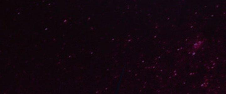 Trên Người Ta Có Một Cái Cây Thần Thoại Chapter 34 - Trang 3