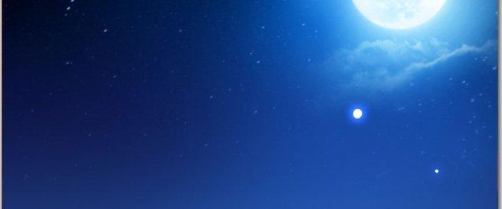 Trên Người Ta Có Một Cái Cây Thần Thoại Chapter 40 - Trang 3