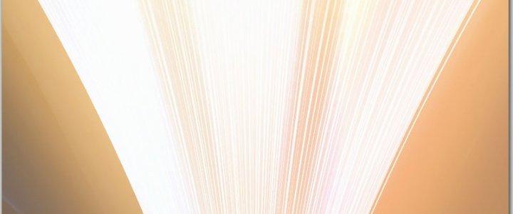 Trên Người Ta Có Một Cái Cây Thần Thoại Chapter 40 - Trang 3