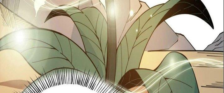 Trên Người Ta Có Một Cái Cây Thần Thoại Chapter 42 - Trang 3