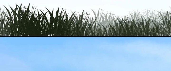 Trên Người Ta Có Một Cái Cây Thần Thoại Chapter 47 - Trang 3