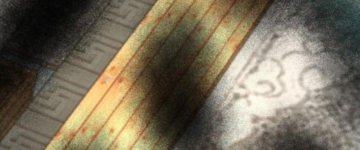 Trên Người Ta Có Một Cái Cây Thần Thoại Chapter 49 - Trang 3