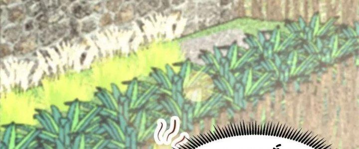 Trên Người Ta Có Một Cái Cây Thần Thoại Chapter 50 - Trang 3